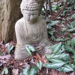 Concrete Garden Statue Buddha