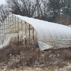 Brighton Greenhouse for removal approx 48x32