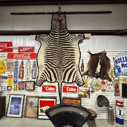 Taxidermy Zebra Rug, Signs, and More