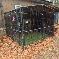 Dog Kennel