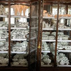 Fantastic Collection of Fenton Glassware