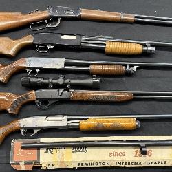 Nice selection of long guns
