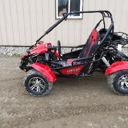 Apollo Venture 200EFI Go kart