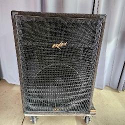 T5 Peavey 118 international Series III
