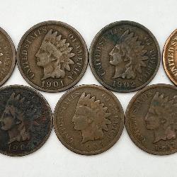 7 Indian Head Pennies