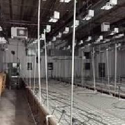 Industrial Plant Growing Tables
