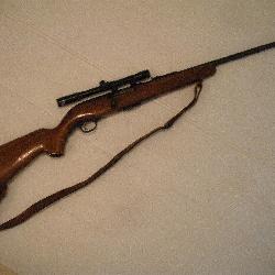 RIFLE