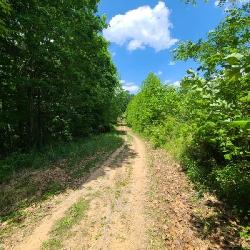 Secluded cabin - Princeton WV