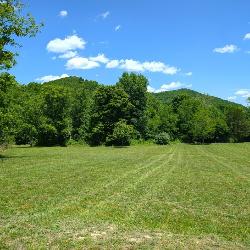 Open and Forested Land