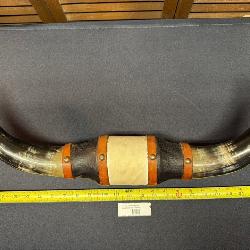 Vintage Bull Horns