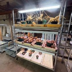 Universal Planting Cart with Adjustable Shelving and Integrated Lighting