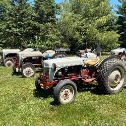 (5) Ford 8N Tractors