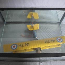 World War I Model Plane in Display Aquarium
