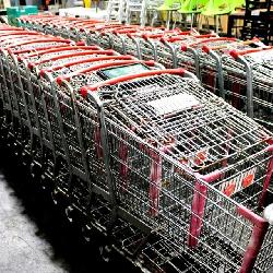 Shopping Carts