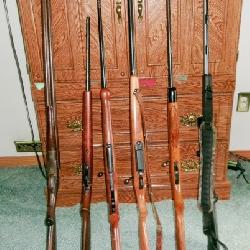 GUNS