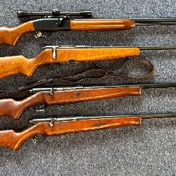 Remington, Mossberg, Wards Western, etc.