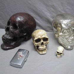 Fascinating Assorted Skull Collection