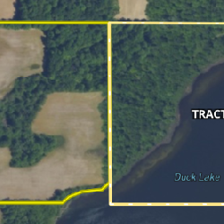 Over 130 Acres with Lake Frontage offered in 4 Tracts 