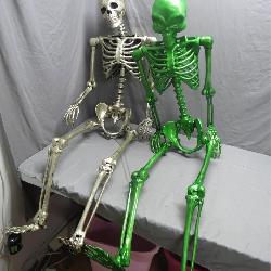 Poseable Skeleton Duo: Chrome & Green Alien