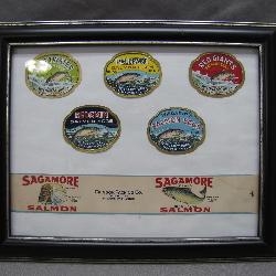 Framed Salmon Label Collection Display