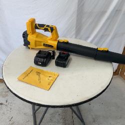 Like New ZnZoey Leaf Blower