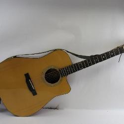 Eastman Guitar E10 DCE w/ Fishman Pickups