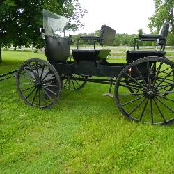 1 horse, 4 seater open buggy