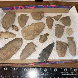 Arrowhead Collection