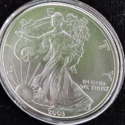 2003 Silver Eagle Coin