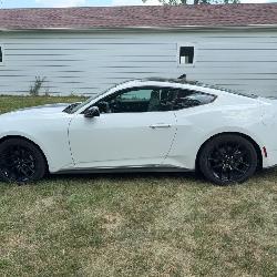 2025 Ford Mustang EcoBoost Coupe -  7000 miles