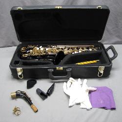 Professional Alto Saxophone with Accessories