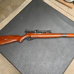 Mossberg 22 long rifle - Firearm