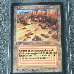 Vintage Magic: The Gathering Plateau Land Card, Artwork by Drew Tucker In Sleeve