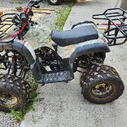 TaoTao kids fourwheeler