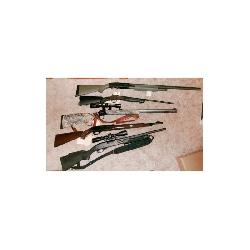 GUNS