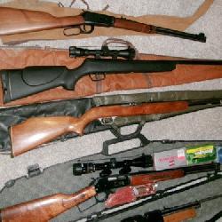 GUNS