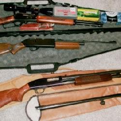 GUNS