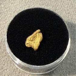 California Gold Nugget
