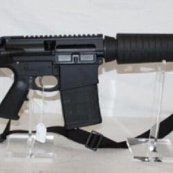 Palmetto G3-10 multi caliber Rifle
