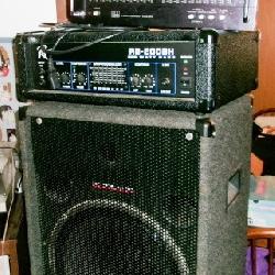 CANAL SPEAKER PEAVEY AMP