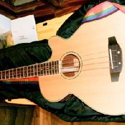 ROUGE ACOUSTIC BASS 
