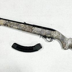 Ruger 10/22 .22 LR Semi-Automatic Rifle