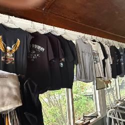 75 harley shirts