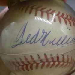 Signed Ted Williams Rawlings Baseball and Holder