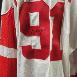 Detroit Red Wings, Sergei Fedorov Autographed Hockey Jersey