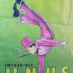 Circus Collection incl. Tickets, Programs & Posters