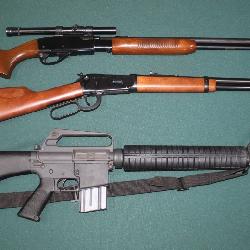 Nice selection of long guns