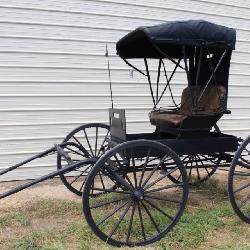 Horse Drawn Buggy Carriage