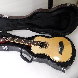 Stringed Instrument Auction - Meares Property Advisors, Inc