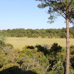 Dewees Island, SC Real Estate Auction - Meares Property Advisors, Inc